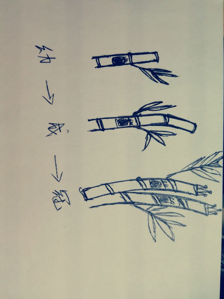 面朝大海,春暖花开主题+竹节宝贝+253377截图