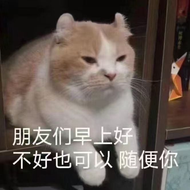 DAY8截图