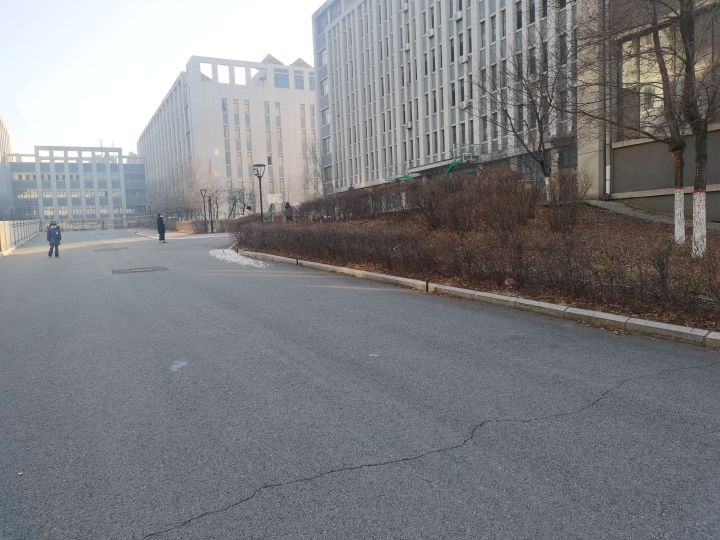 情人节活动截图