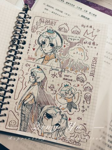 手绘│Aurelia海月