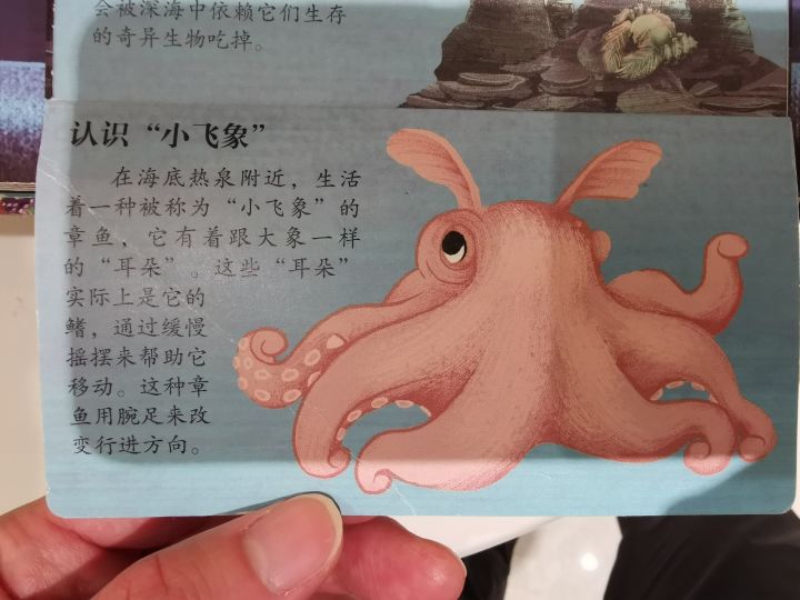 真有小飞象这种动物截图