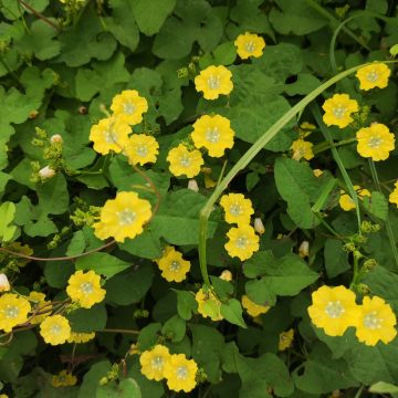 一起到乡野山间吧！（多图预警）