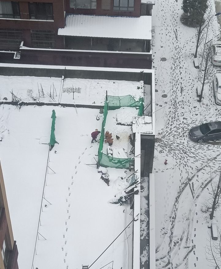 下雪了截图