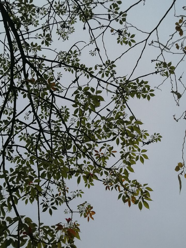 喜欢相机下的每个镜头的故事截图