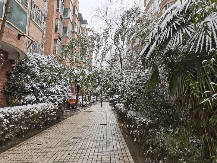 雪 西安 希安截图