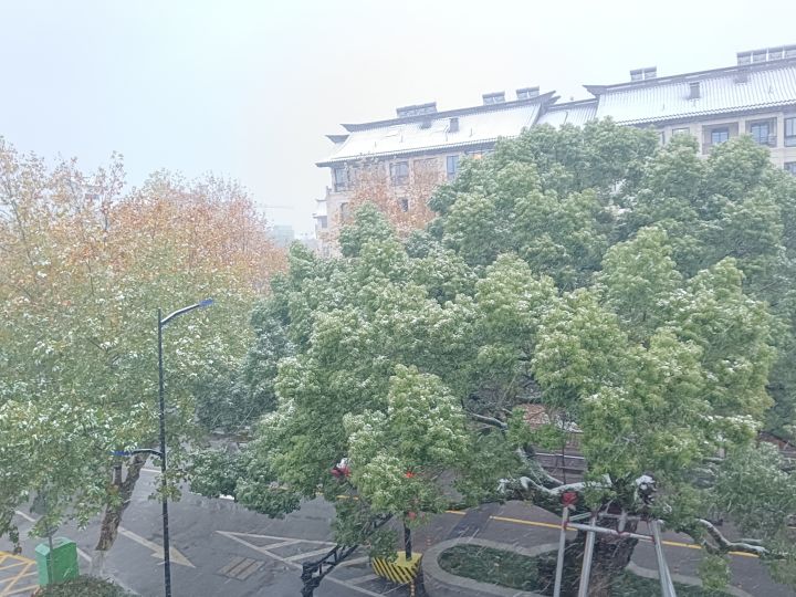 江南的雪截图