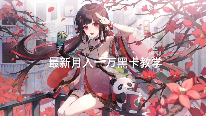 最全黑卡统计!三分钟教你月入一万黑卡截图