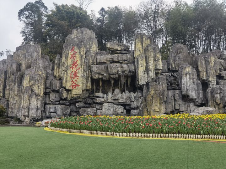 s698 小鸟需依人截图