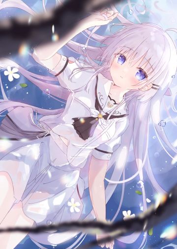 每日萌图特集（第73期）