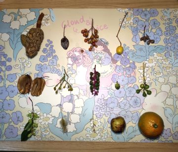 秋日屯屯鼠活动，我来啦～