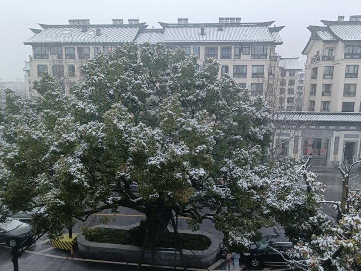 绍兴春雪截图