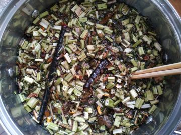 泰拉大陆的魔药课