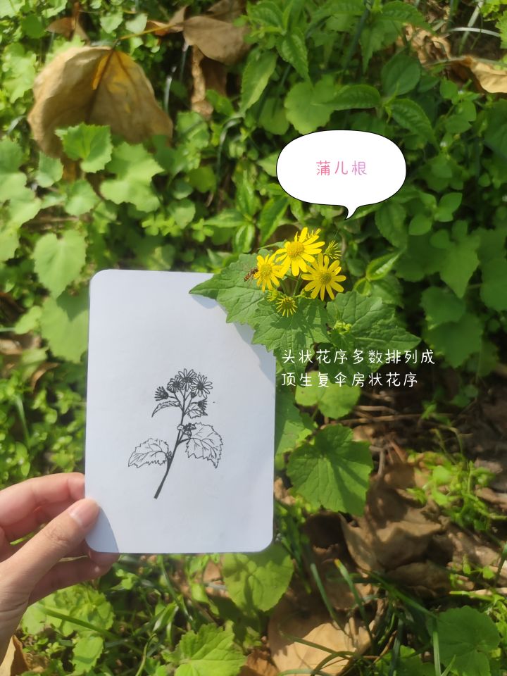 春天的活动截图