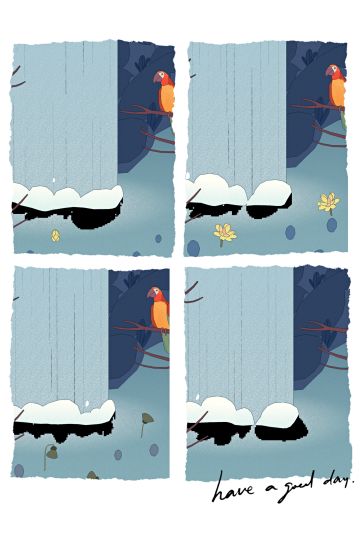 怀念爱鸟兼知心朋友永远