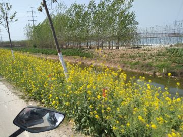 今天讲个题外话（我太高兴了）