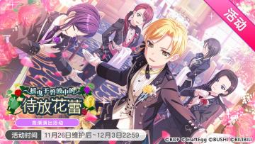 「摇曳于碧波中的待放花蕾」活动开启！