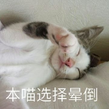 【已开奖】南方人和北方人大战！饺子汤圆我都要！