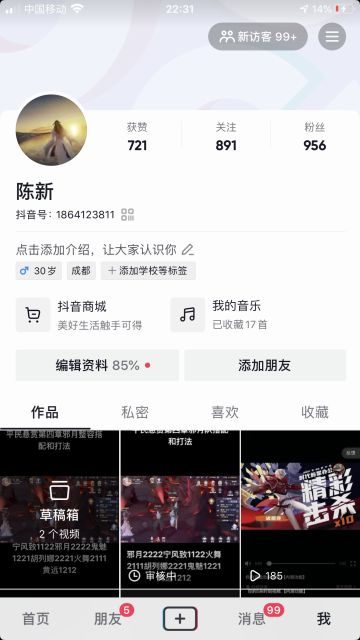 平民第四章邪月打法 宁风致篇