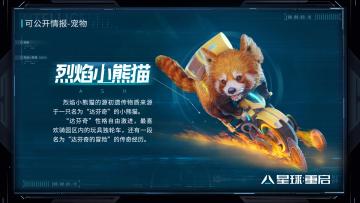 【宠物档案】烈焰狂飙！自由激进的战斗型宠物——烈焰小熊猫