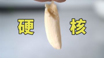 学会这件事前，请不要开始健身丨机核 X 卓叔增重