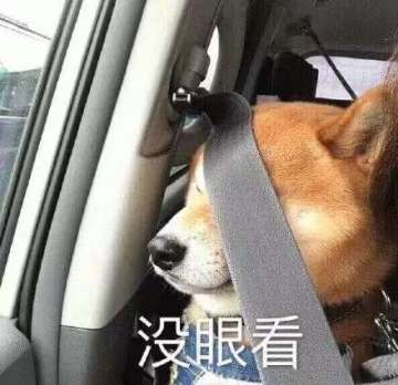 今夜谈星 | 冷艳美人（×）冷酷上司（√）在她手下你能活几天？