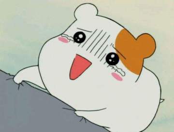 又一波福利调查问卷来喽~