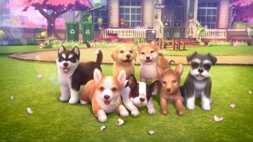 元气小狗首测来袭