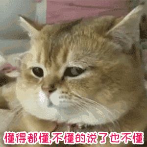 山海茶馆 | 每日参与话题互动，赢取体服资格及代金券！