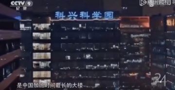 ◆ 研发快报 ◆ 小姐姐带你 探秘爆肝制作组 ！