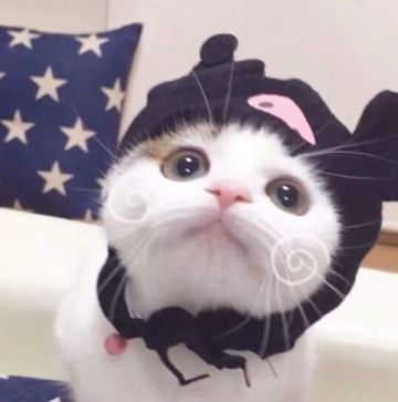 《红警OL手游》小联盟也可以抢资源的