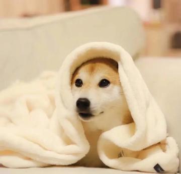 英雄解读 | 奥林匹斯神祇降临战歌魔幻世界，新英雄如何搭配阵容？