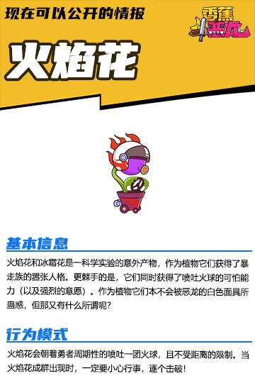 【现在可以公开的情报】香蕉大百科——火焰花