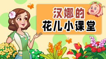 汉娜的花儿小课堂：芍药篇