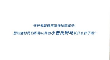三段影片带你进一步了解普氏野马~ 3