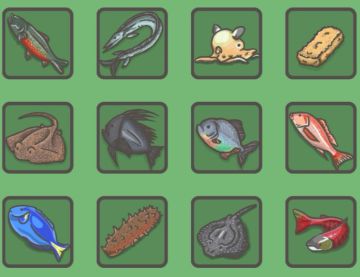 森林鱼图鉴【全】