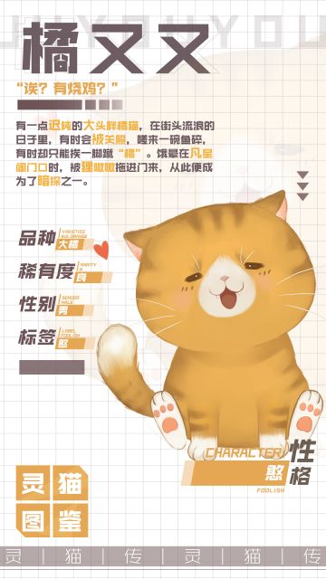 【灵猫图鉴】★良★ 可爱憨厚的——橘又又！