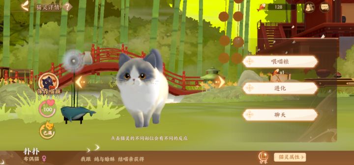 有的猫猫为什么不能结亲啊截图