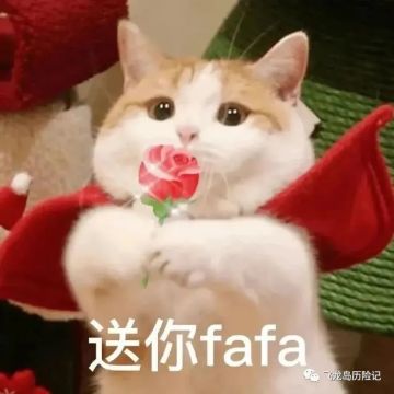 活动预告 | 喵喵喵？喵喵？猫咪岛来了！