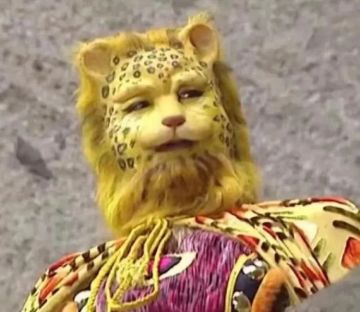 虎年限定唯一坐骑曝光 | 神秘橘猫卷走杭州城数十亿！摇身一变竟成全城的希望！