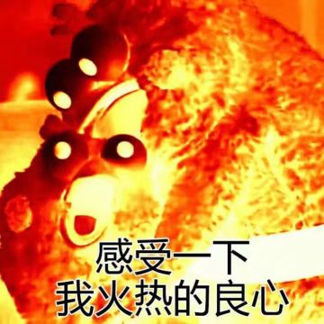 给萌新的建议，应第二次赚钱公略活动