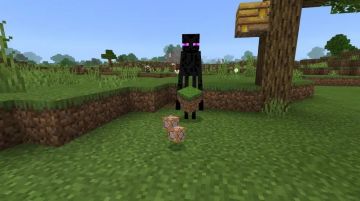 整蛊大作战？朋友的家中为何频频出现僵尸……