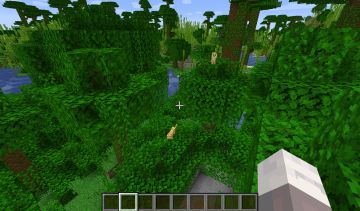 萌新科普之苦力怕最怕生物——豹猫