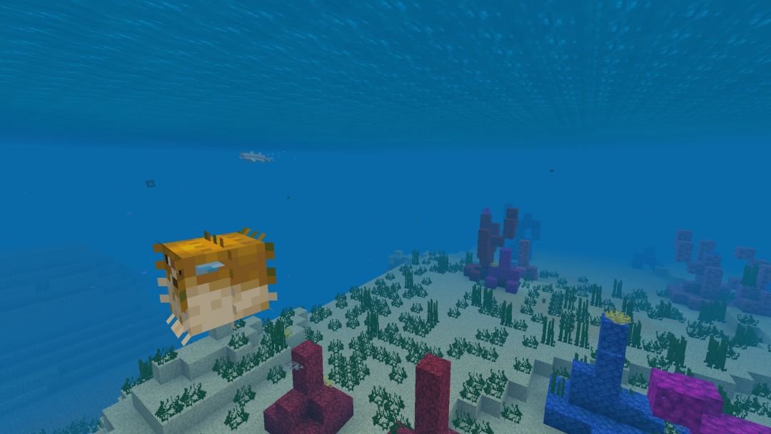 video-45675