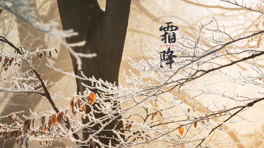 《少年侠客》10.16日更新公告：新区唐字江湖开启，霜降活动皮肤登场截图