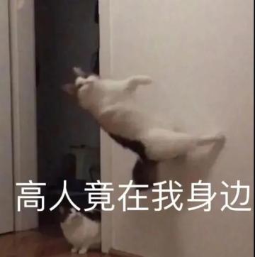 星语臻品丨御风潜行，江湖盗圣！月夜追击四面埋伏~