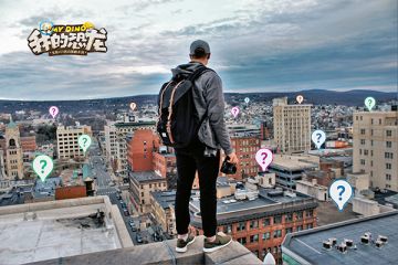 【新人必看】最强驯龙手册教你秒变驯龙高手