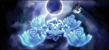 【橙贴】新版本计划以及本周更新内容说明！