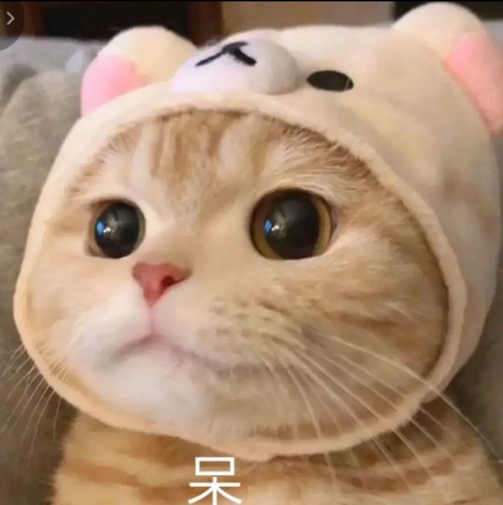 求助贴截图