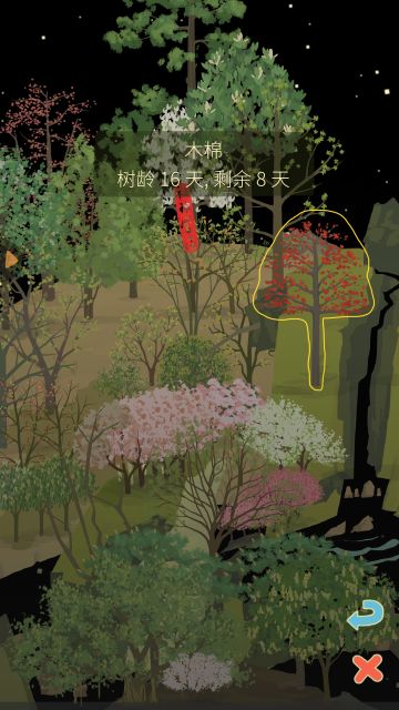 关于给树起的外号这件事