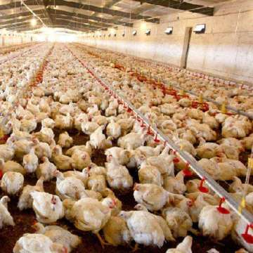 #奇葩周报#公测首周趣味数据分享